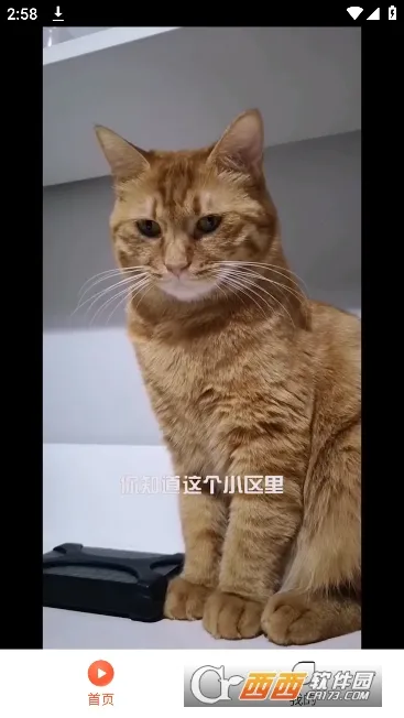 ̾2025ٷ°汾v1.0.0 ֻͼ