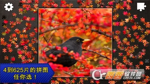 ƴͼܻ԰ֻv1.0.1 ׿ͼ