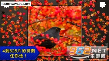 ƴͼܻ԰ֻv1.0.1 ׿ͼ