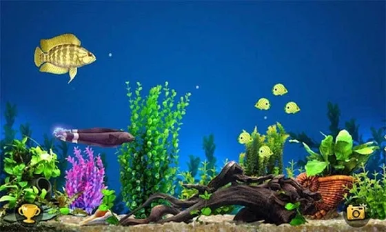 Big Fish Eat Small Fish()v1.0.41 Ѱͼ