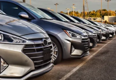 东风风行(智能车控软件) 东风风行(智能车控软件)