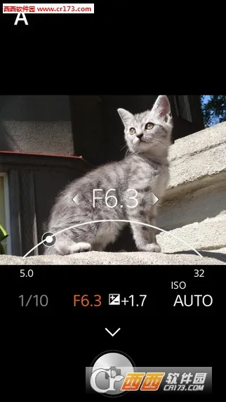 PlayMemories Mobile(ƴ)v7.8.2 ׿ͼ