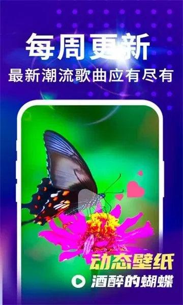 Ƶ2025ٷ°汾v1.0.1 Ѱͼ