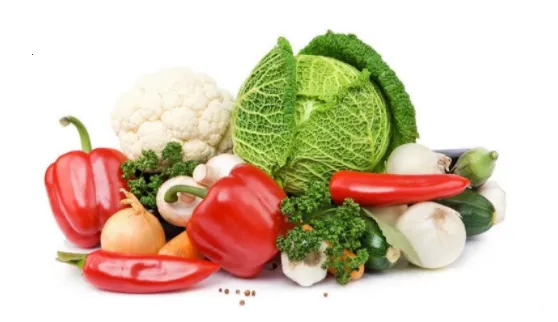 趣批发2025下载安装 趣批发2025下载安装