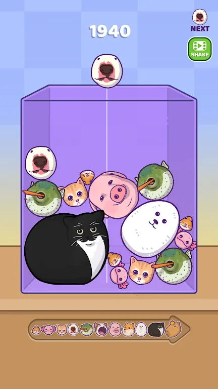 ϲ2025ذװv1.5.5 ֻͼ