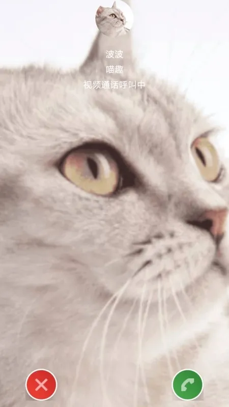 è԰(èۺϷ)v1.1 ٷͼ