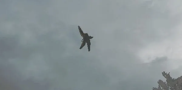 �ָ���������2025���ذ�װ