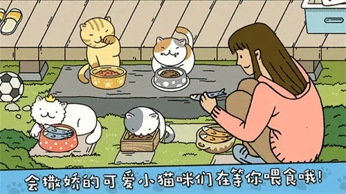 լӤ(ģ⾭ӪϷ)v2.17.7 ׿ͼ