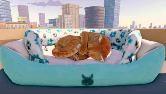 è�����ռǴ���(è�䶼��ð����Ϸ)v1.1 �ֻ����ͼ