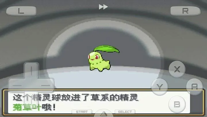 �ڴ������Ľ����(������ð����Ϸ)v3.0 ��׿���ͼ