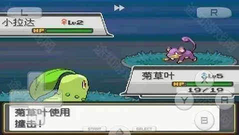 口袋妖怪心金魂银(宝可梦冒险游戏) 口袋妖怪心金魂银(宝可梦冒险游戏)