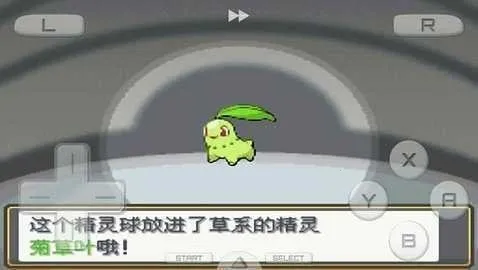 �ڴ������Ľ����(������ð����Ϸ)v3.0 ��׿���ͼ