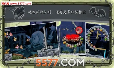 �������2025���°汾