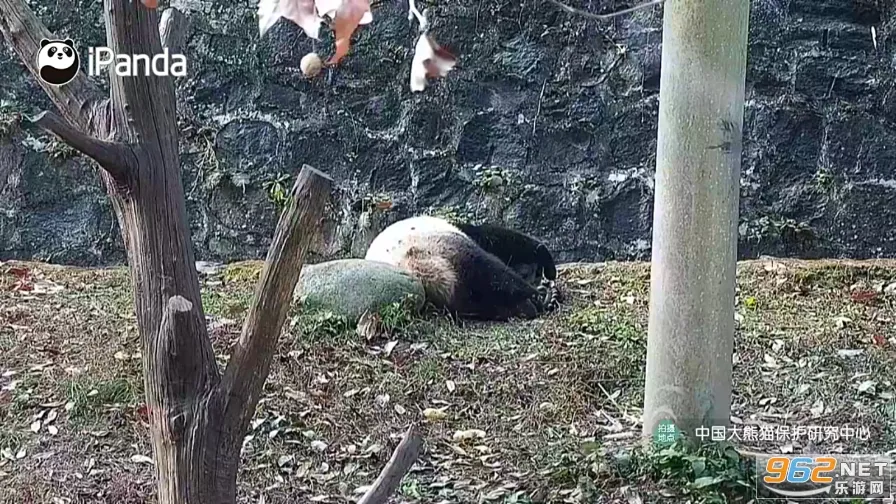 �ɴ���ֱ�������ֻ���v1.0.5 �ٷ������ͼ