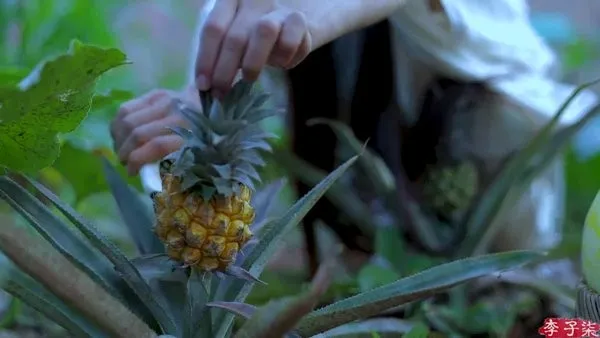 �ɴ���ֱ�������ֻ���v1.0.5 �ٷ������ͼ