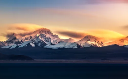 Ѱ�����2025�ٷ����°汾