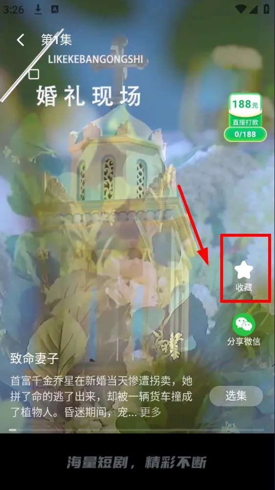 剧果果2025最新版本 剧果果2025最新版本