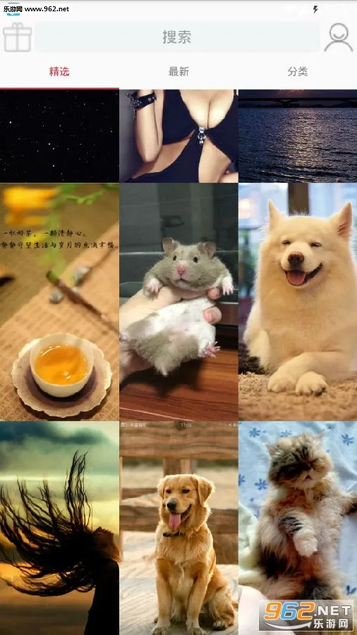 番茄壁纸2025官方正版 番茄壁纸2025官方正版