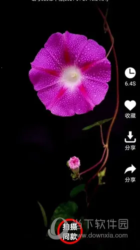 左拍2025下载安装 左拍2025下载安装