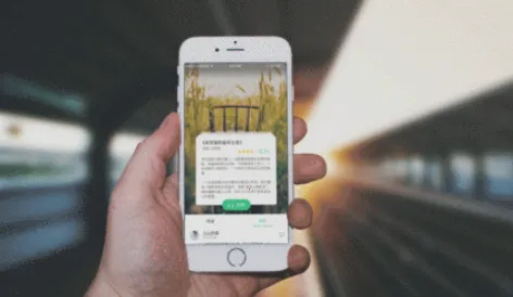 小荷听书(有声听书平台) 小荷听书(有声听书平台)