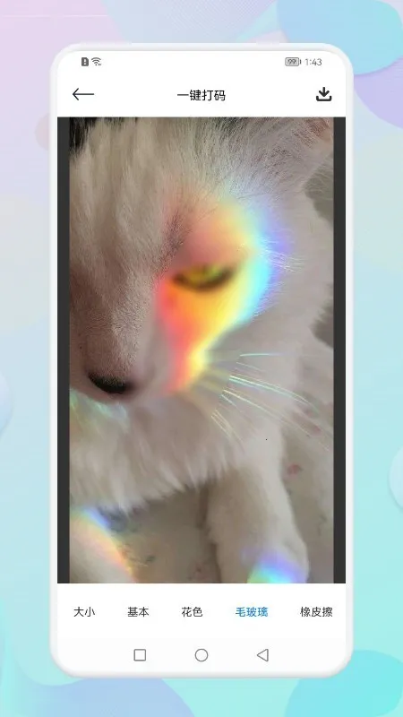 DVDÿ�����(���ձ༭����)v1.1 �ֻ����ͼ