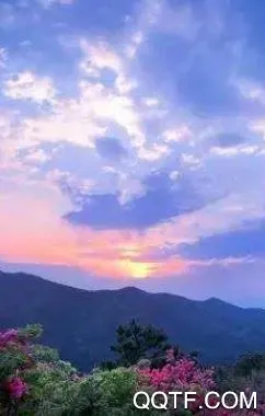 ��������(�����ۺϷ���ƽ̨)