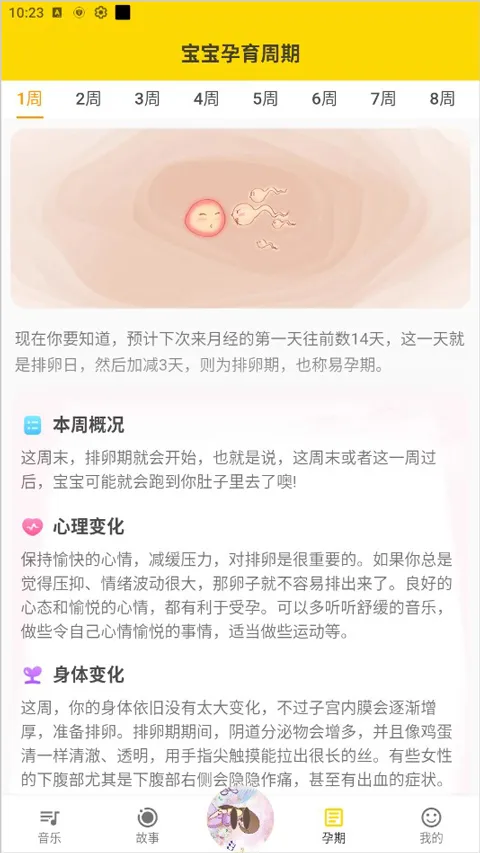 ̥�����ֺ�(̥����������)