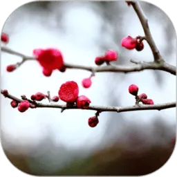 ÷�������ʼ�(ռ����������)