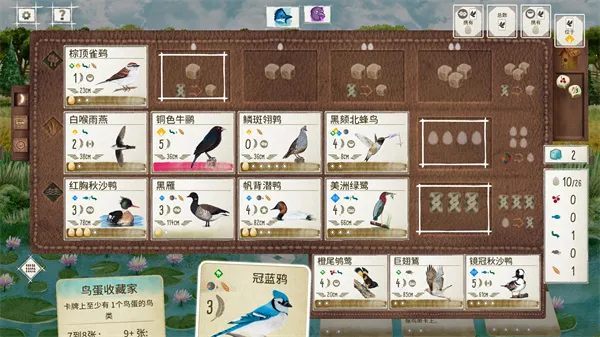 չ�᰿��2026�ٷ�����v1.5.546 �ֻ����ͼ