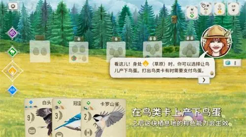 չ�᰿��2026�ٷ�����