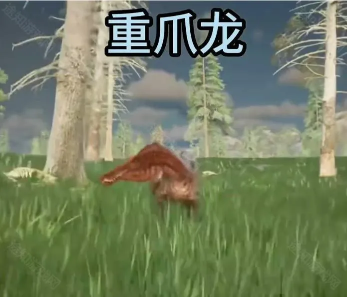 ����������Դ