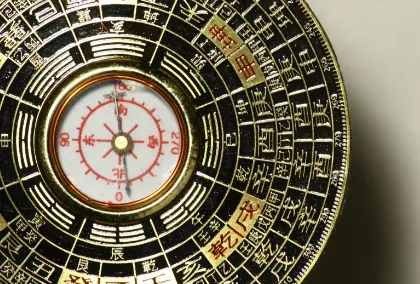 ��������2026�ٷ�����