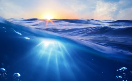 С�����ֽ2026�ٷ����°汾