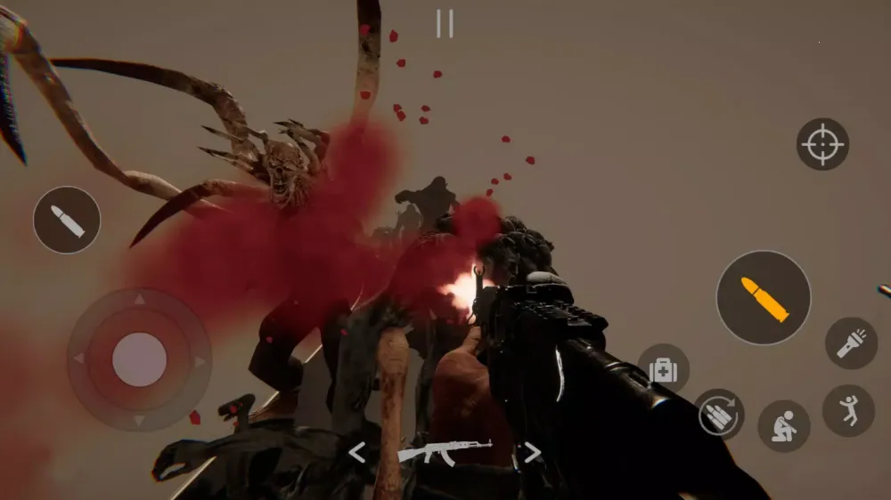 ͬһ����ͬһ��2026�ٷ�����