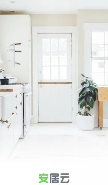 �����Ƽ��