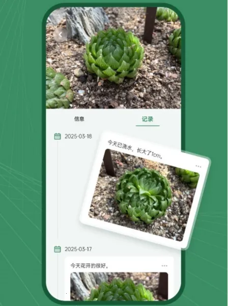 ����־2026�ٷ�����