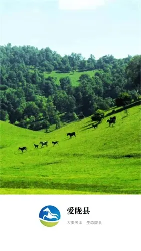 ��¤��v1.0.0 �ٷ������ͼ