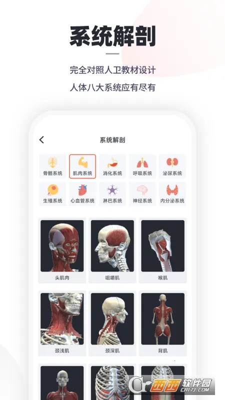 �ڴ��������2026���°汾v3.0.5 �ٷ������ͼ