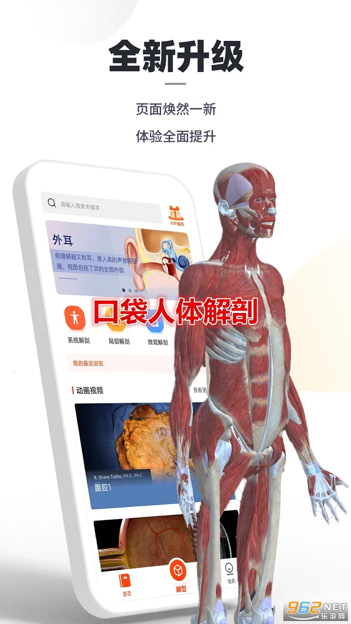 �ڴ��������2026���°汾