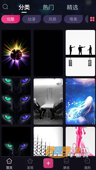 ���⶯̬��ֽ