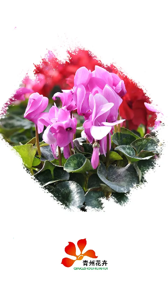 ���ݻ���ƽ̨��ҵ��2026�ٷ����°汾v1.0.7 ��Ѱ��ͼ