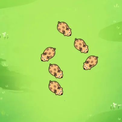 С������2026�ٷ�����