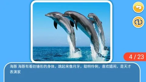 ��ͯ������������v4.6el �ٷ������ͼ