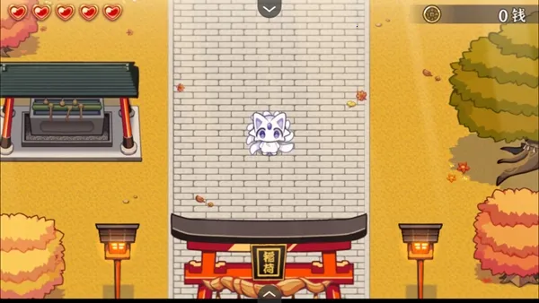 �Ž�����������