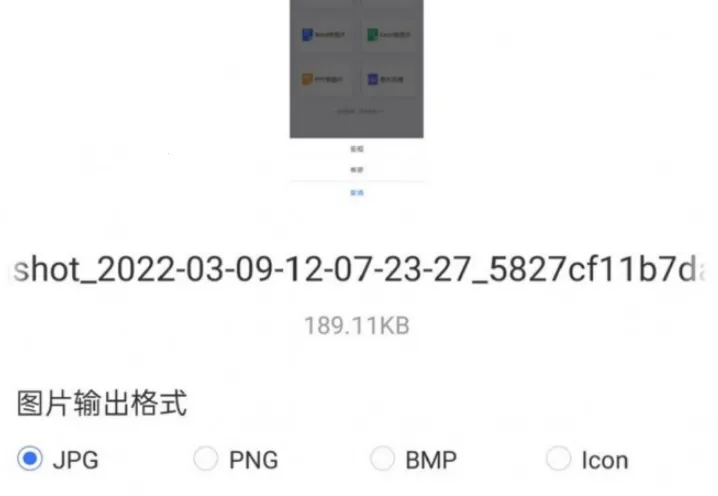 ��Ƭ��ʽת����ʦ