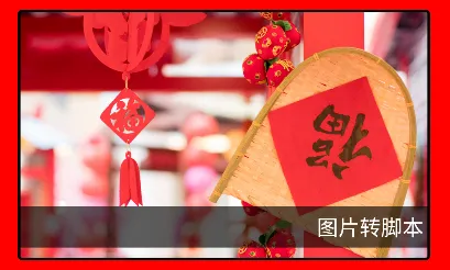 ���ݿǽű�����