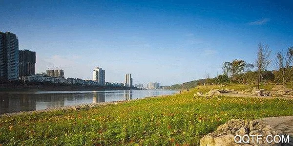 ������ý�����ֻ���