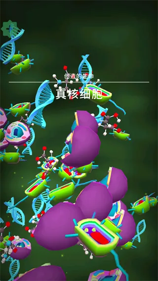 ��ϸ����������°汾