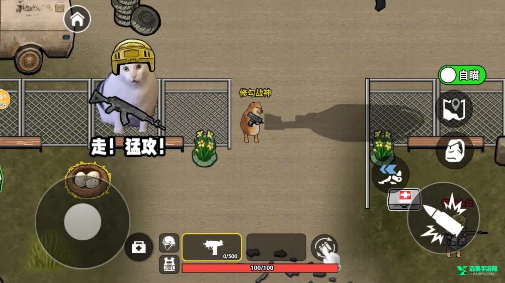 �޹���������������