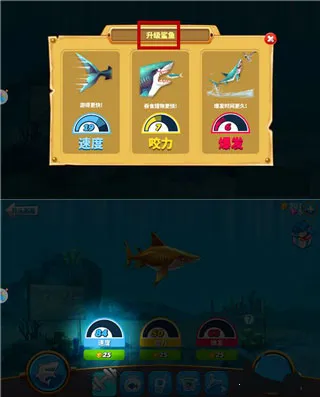 �����������ƽ��������ʯ�����������